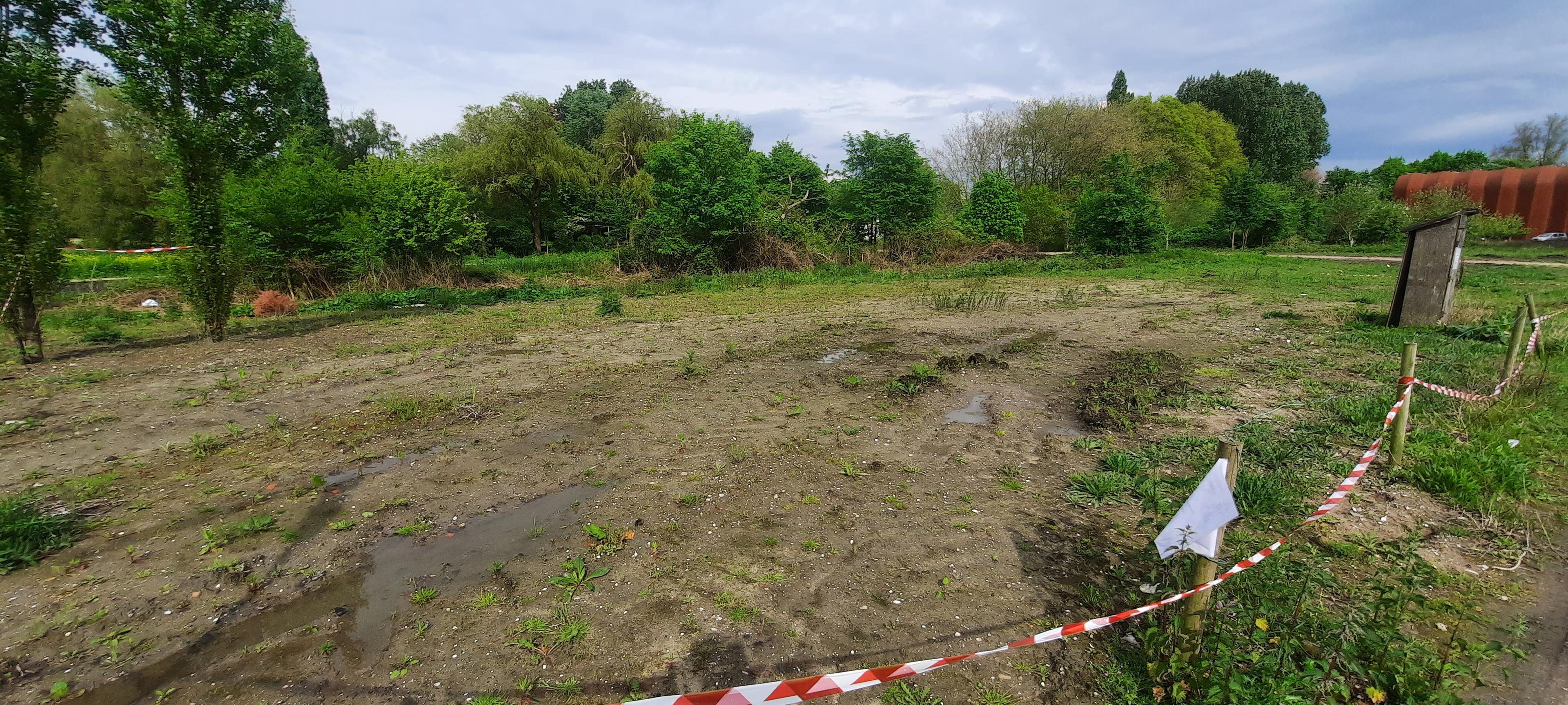 Een modderig bloemenveld