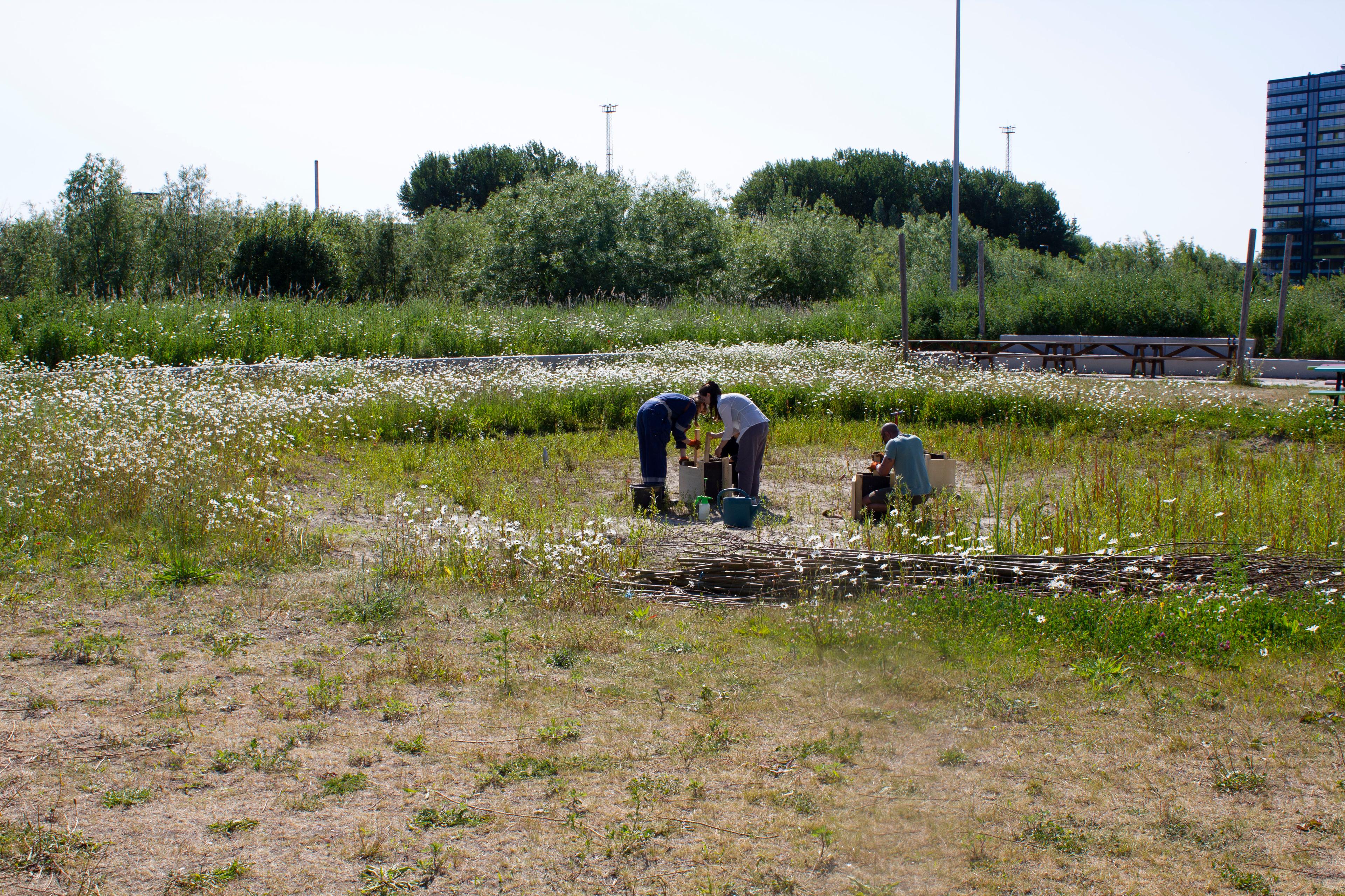 Bouwworkshop 'aarde rammen'